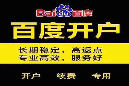 百度推广成本控制技巧：案例分析及总结